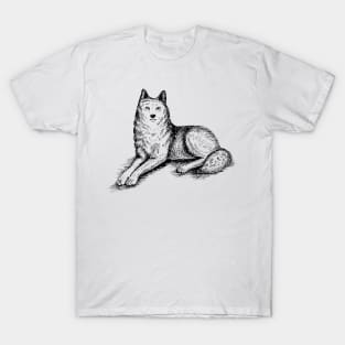 Lying Wolf T-Shirt